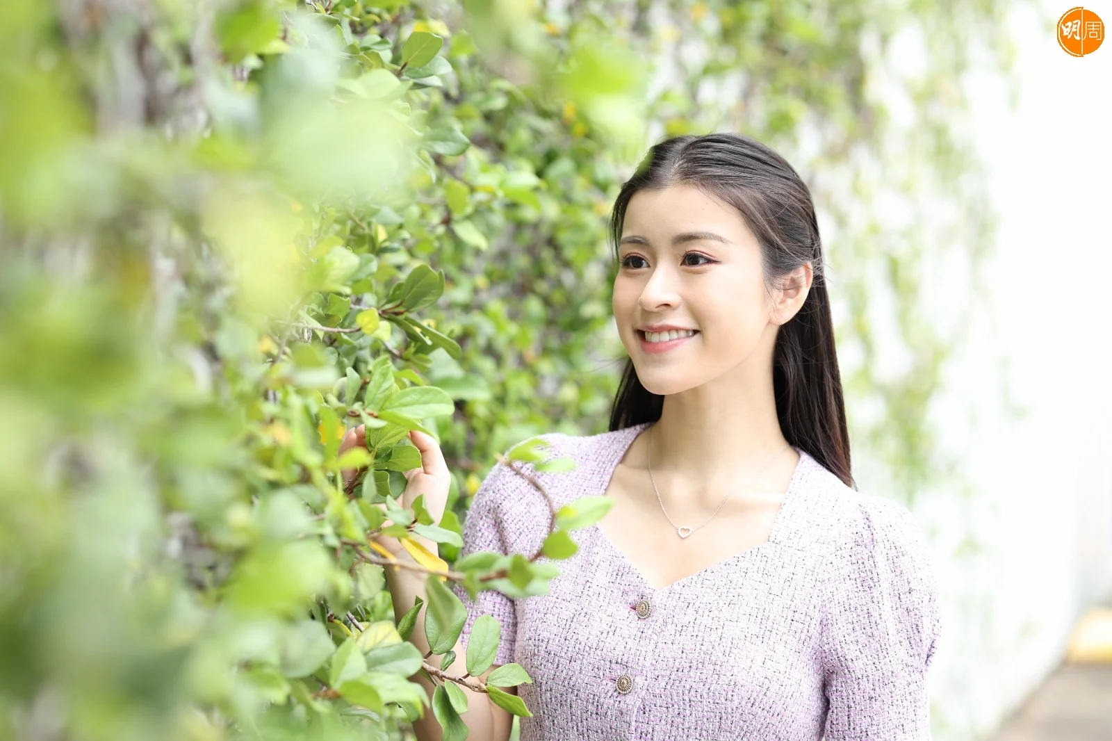 whatsapp-image-2025-10-13-at-16-10-35