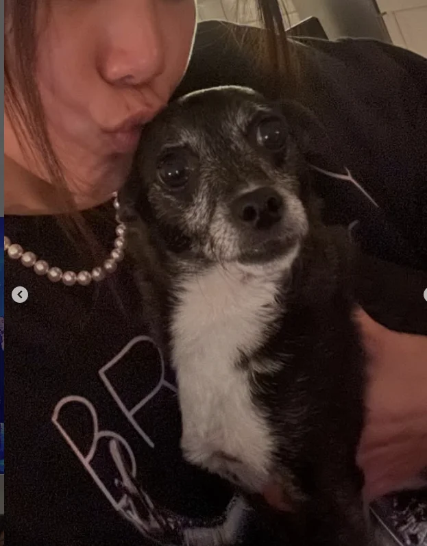 %e8%9e%a2%e5%b9%95%e6%93%b7%e5%8f%96%e7%95%ab%e9%9d%a2-2025-11-21-174410