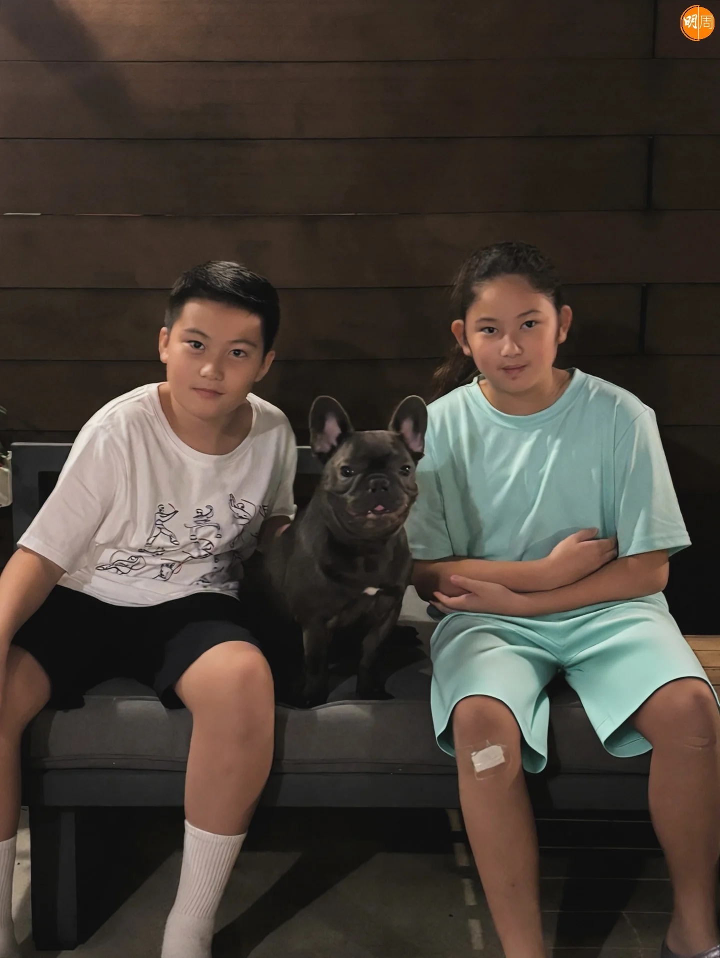 梁浸浸與陳真是青檎竹馬。