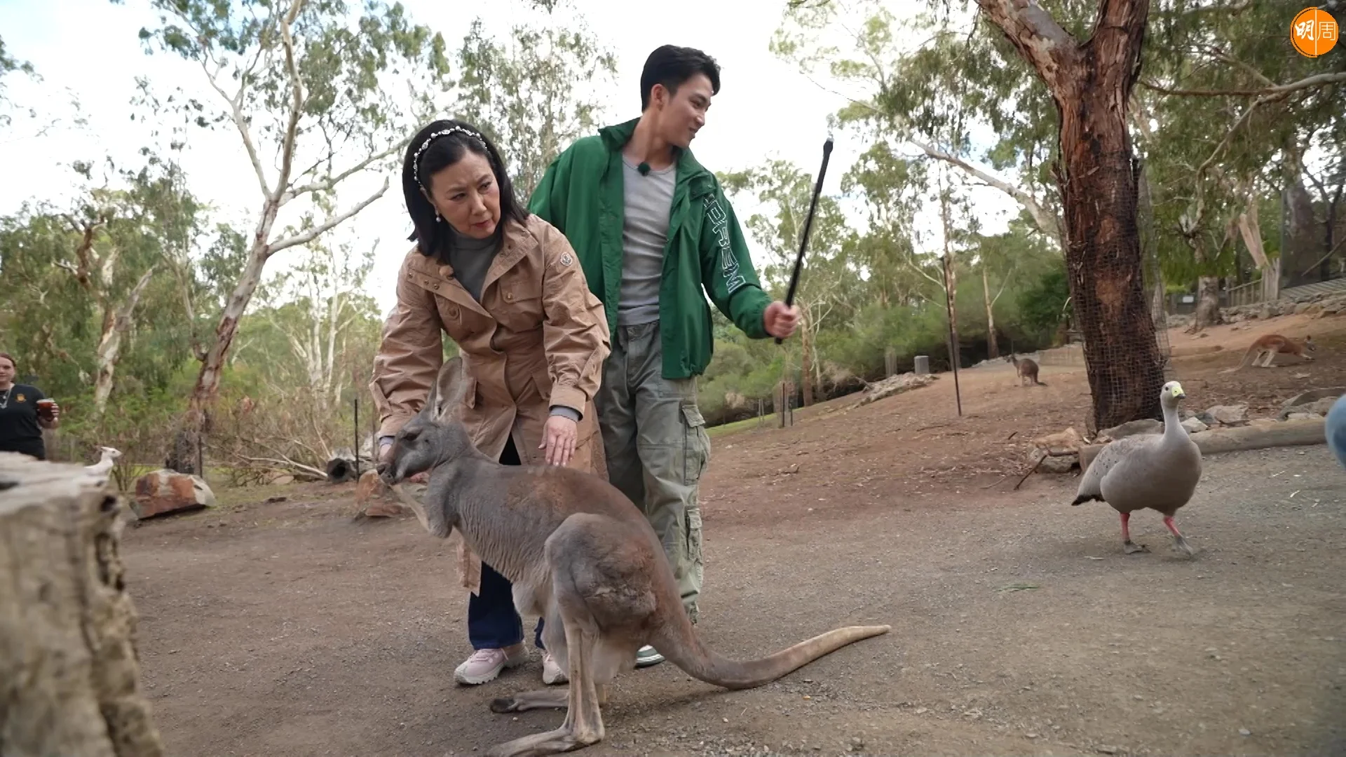 明晚一集，二人去到動物園