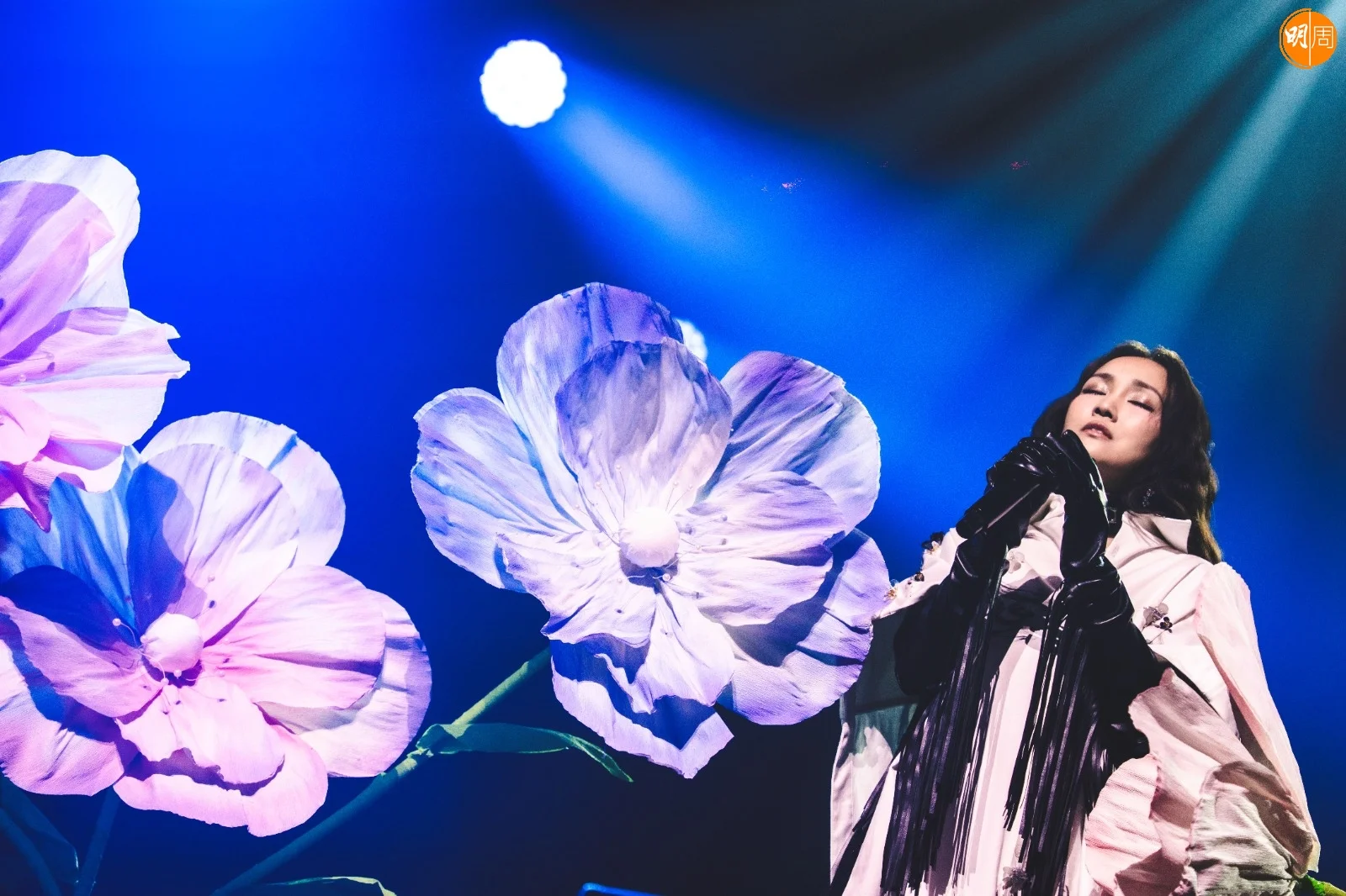 whatsapp-image-2025-12-14-at-12-22-42